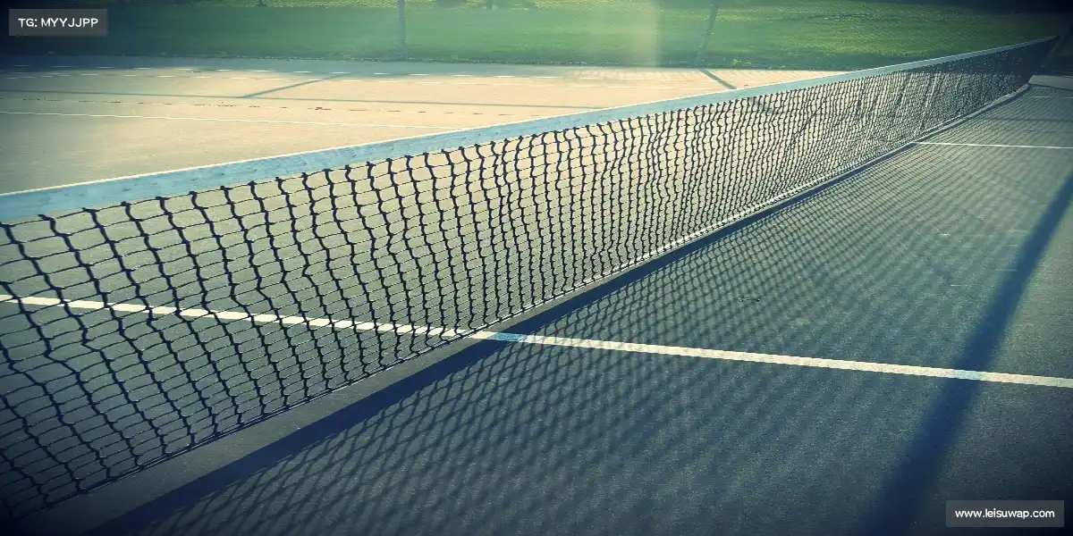 雷速官网——⚽🌠 凌空抽射，彗星袭月！